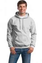 Gildan Heavy Blend Hooded Sweatshirt-S (Ash)