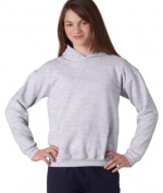Gildan-18500 Adult Heavy Blend Hooded Sweatshirt (Ash, Small)