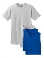 Hanes Men's 4 Pack Short Sleeve Comfortsoft T-Shirt - 2 Ash / 2 Deep Royal - Small