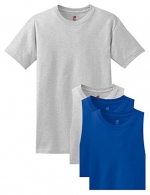 Hanes Men's 4 Pack Comfortsoft T-Shirt, 2 Ash / 2 Deep Royal, S (Pack4)